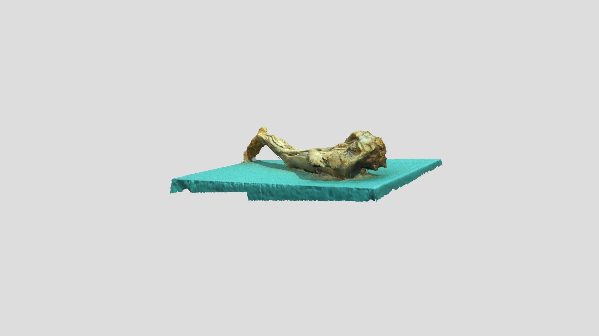 bein - 3D model by rostock_d [448bead] - Sketchfab