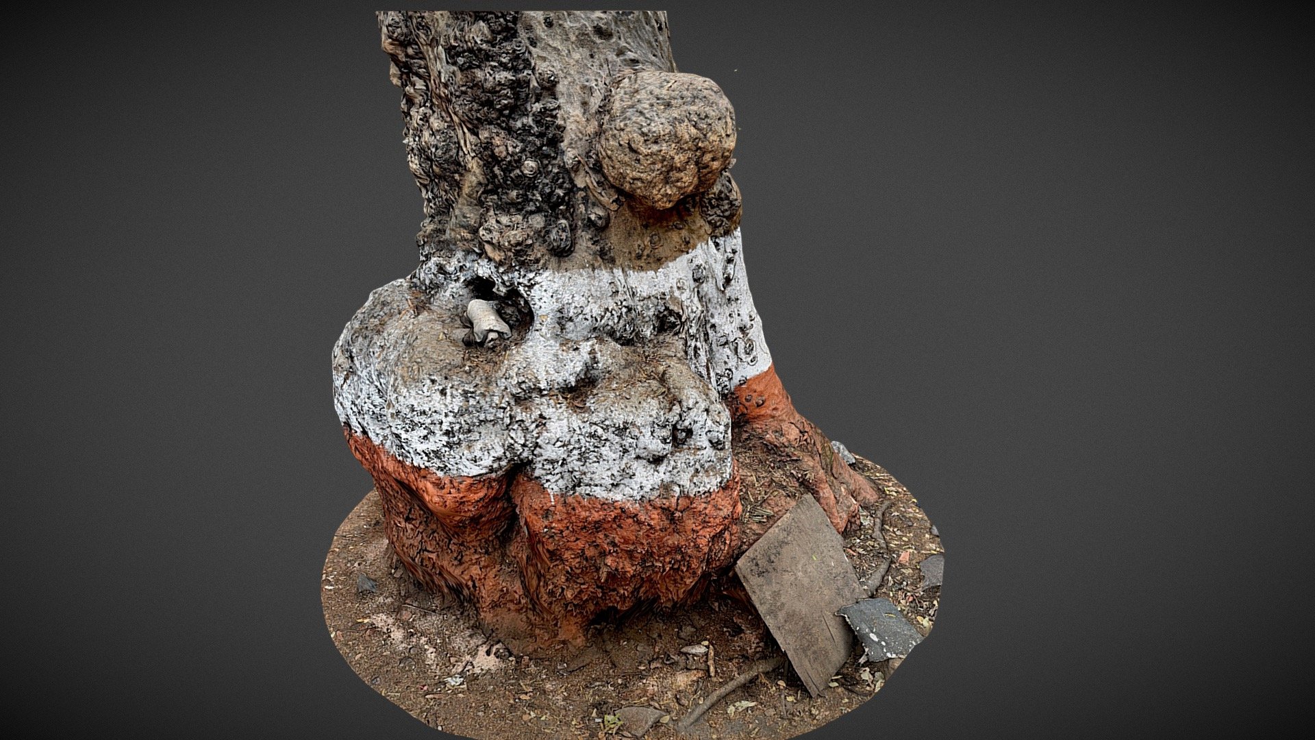 Tree Trunk - Download Free 3D model by raobott [448d4c1] - Sketchfab