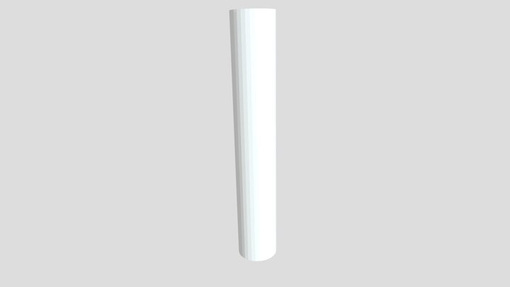 WormTest 3D Model