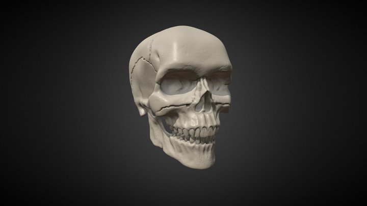 Ejercicio_2_1_Skull_Izaskun_Arraiz 3D Model