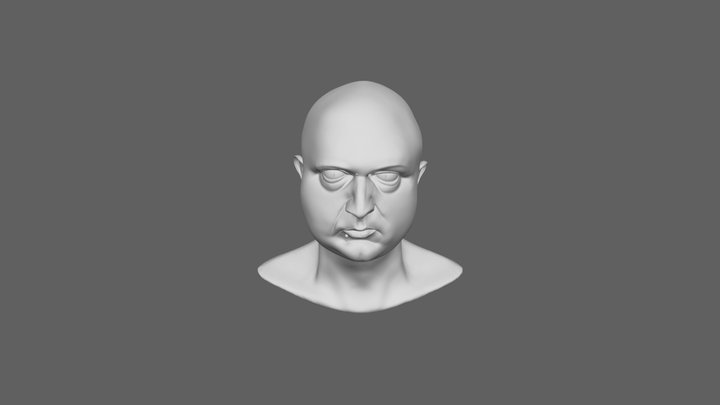WIP Self Portrait Level 3 3D Model