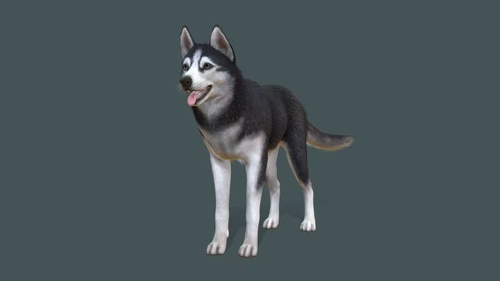 Adoptmepets 3D models - Sketchfab