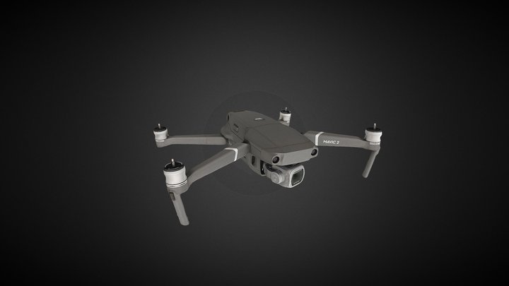 DJI Mavic 2 Pro Photogrammetry 3D Model