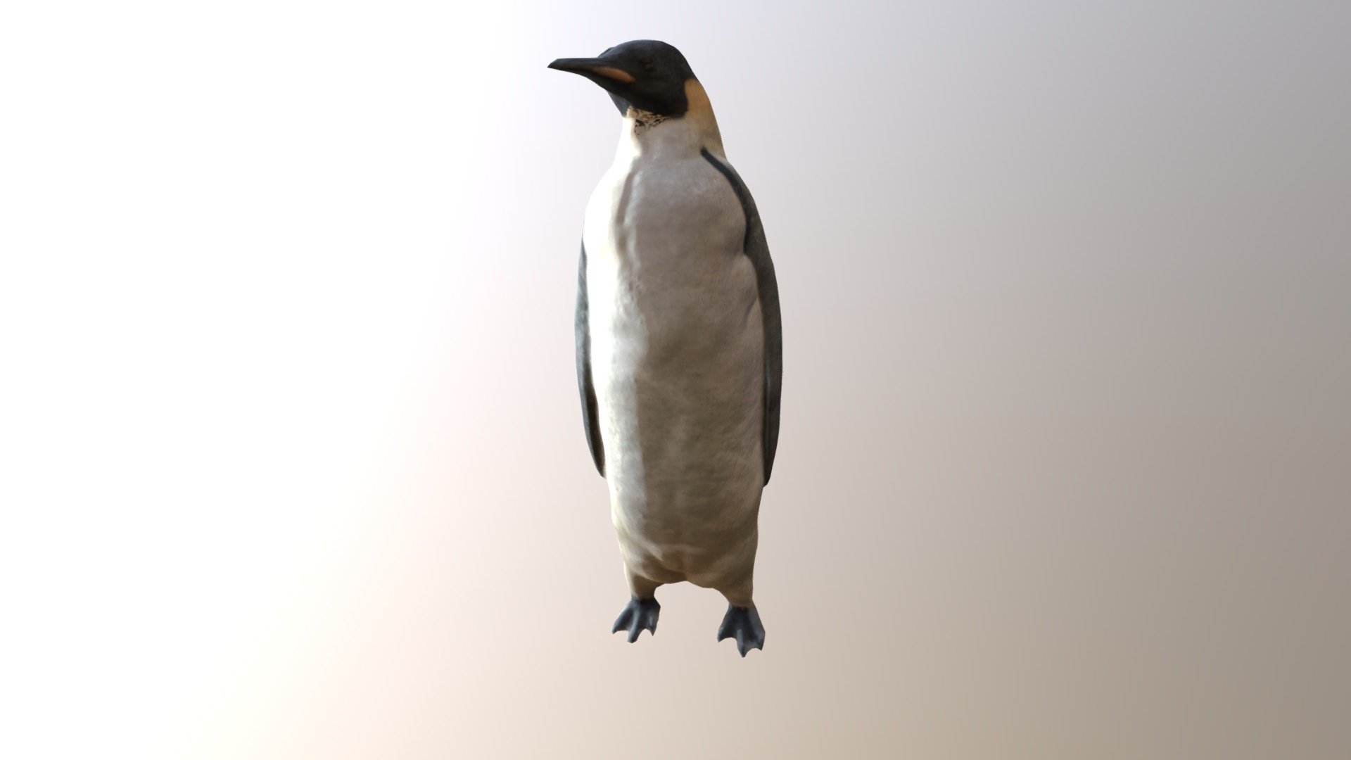 Emperor Penguin