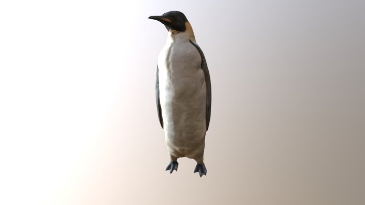 Emperor Penguin – Modelo 3D gratuito STL