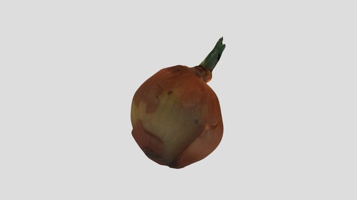 Onion 3D Model