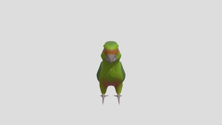 Loro 3D Model