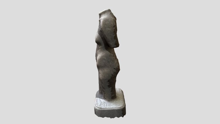 Torso 3D Model