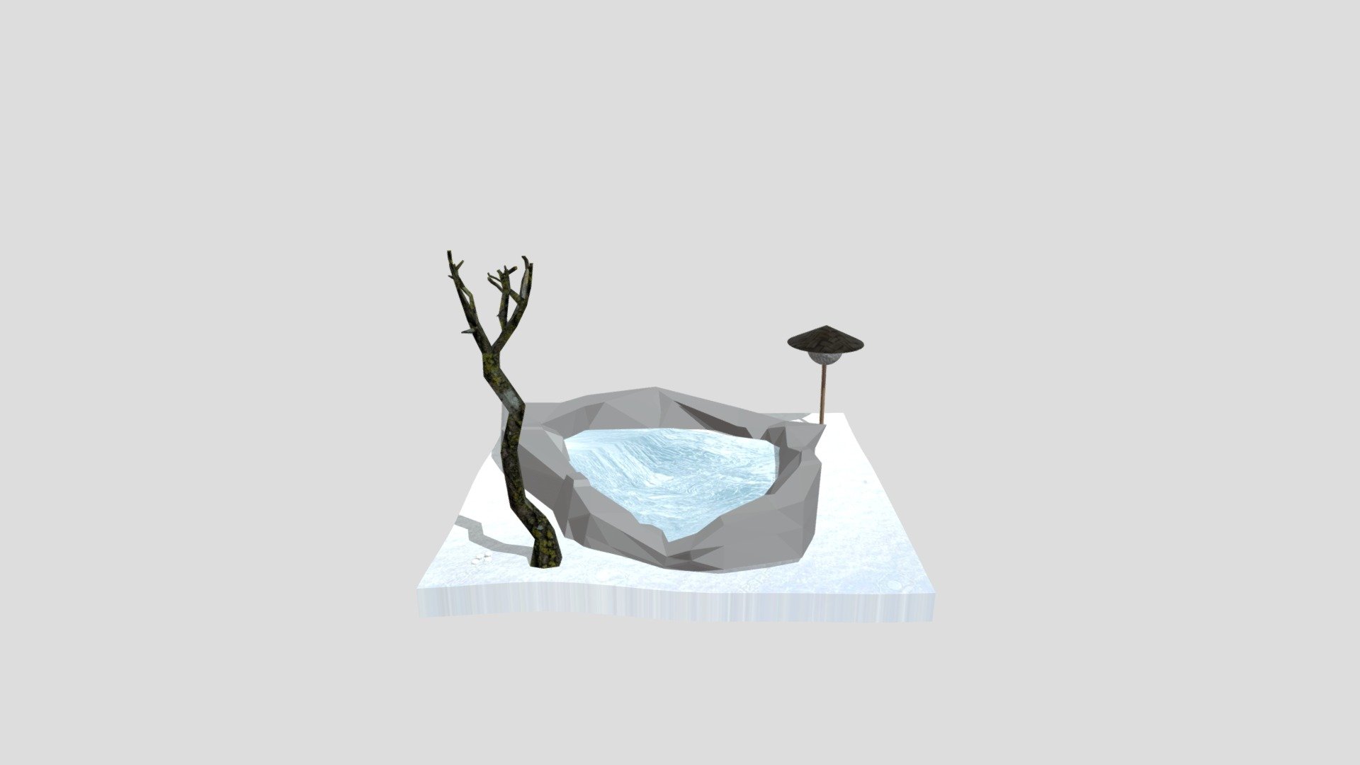Garden Pond In Winter