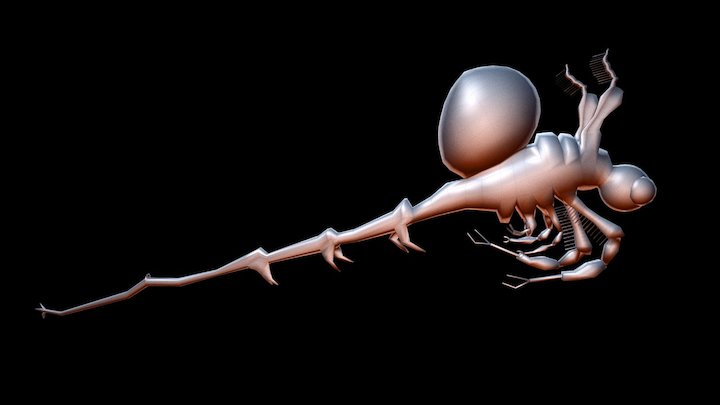 Spnity Water Flea Low Poly Version 3D Model