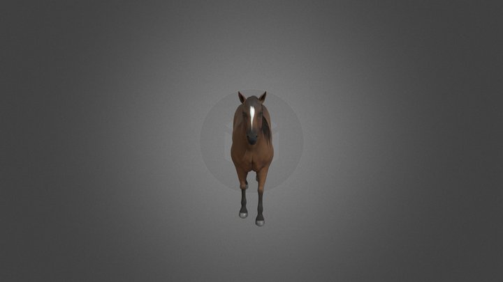 my_animated_horse 3D Model