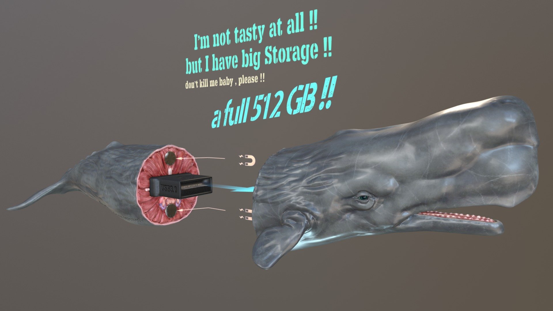 Whale USB Storege - 3D model by Sean Chang (@eugoll) [44ad770] - Sketchfab