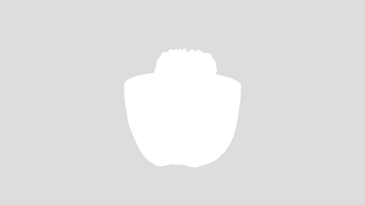 Potted Cactus – Modello 3D gratuito STL
