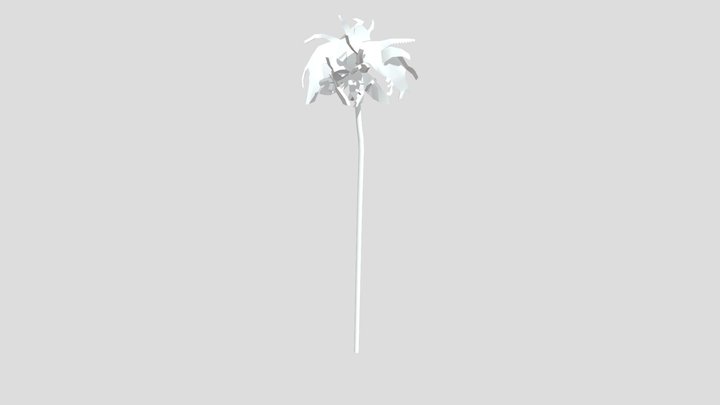Searchlight Pictures 2020 Palm Tree 3D Model