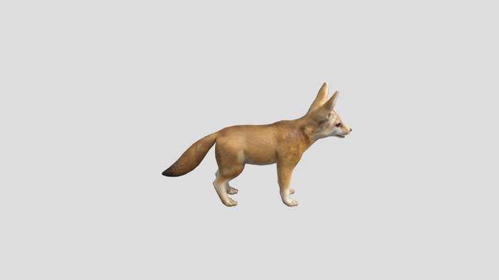 Fennec – Free 3D Model STL
