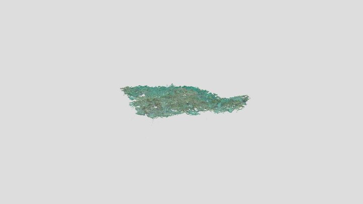 Double Reef - Palau (tr3.4.5 2018)_Large 3D Model