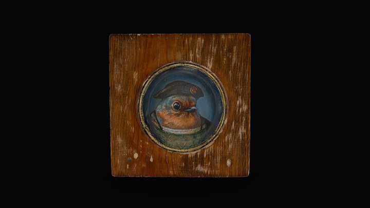 European Tudor Robin 3D Model