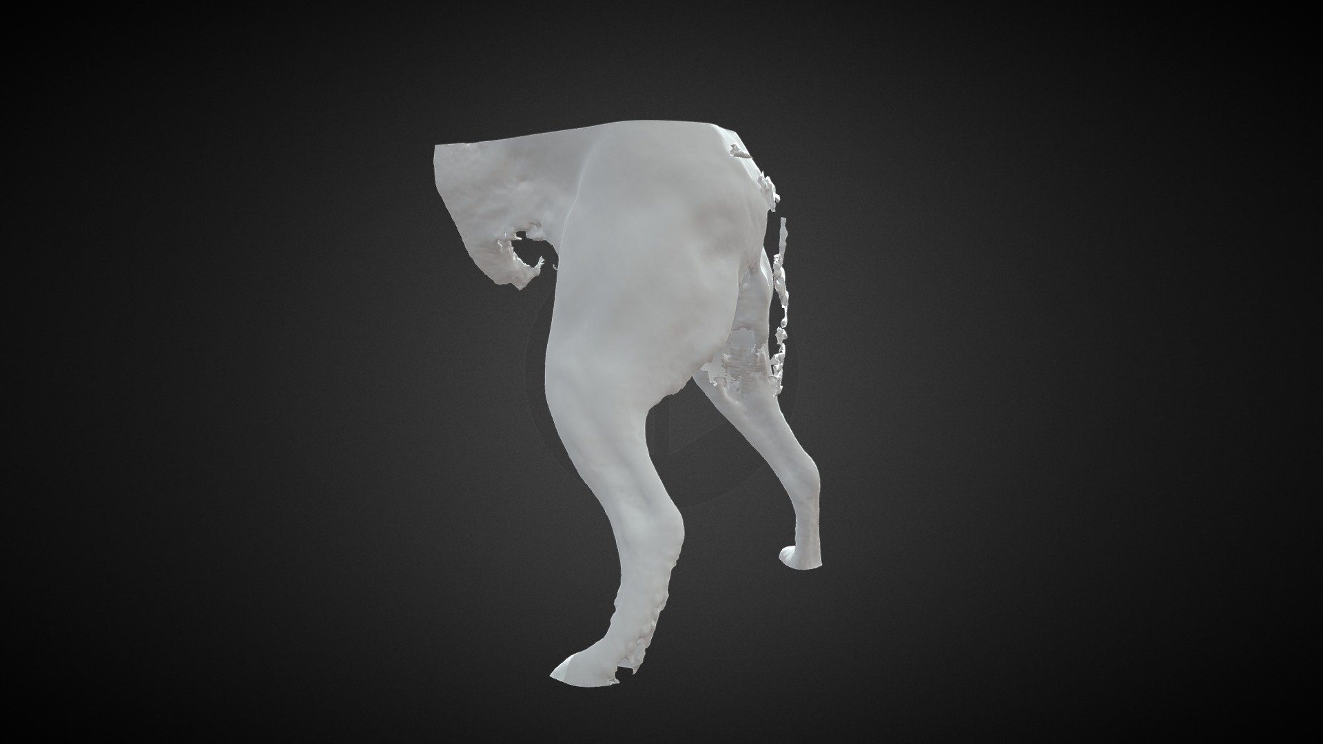 Nala - Back Legs (Monochrome) - Download Free 3D model by Structure