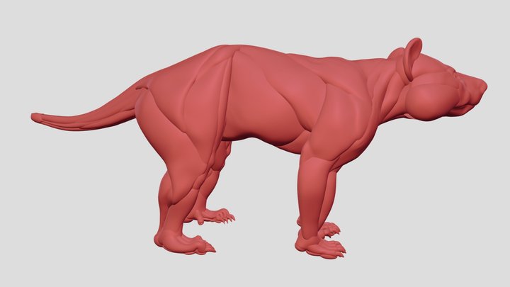 Thylacoleo carnifex muscular reconstruct ESlater 3D Model