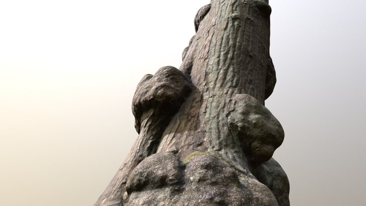 Tree trunk #3 - Photoscanned 3D Model