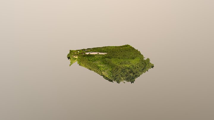 桜山きづきの森 3D Model