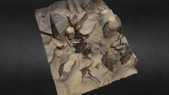 Late New Kingdom or Napatan burial (Feature 108) 3D Model