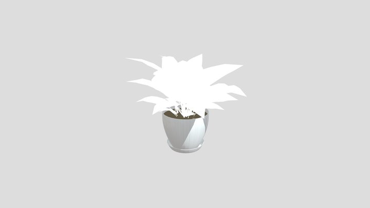Golden Pothos House Plant