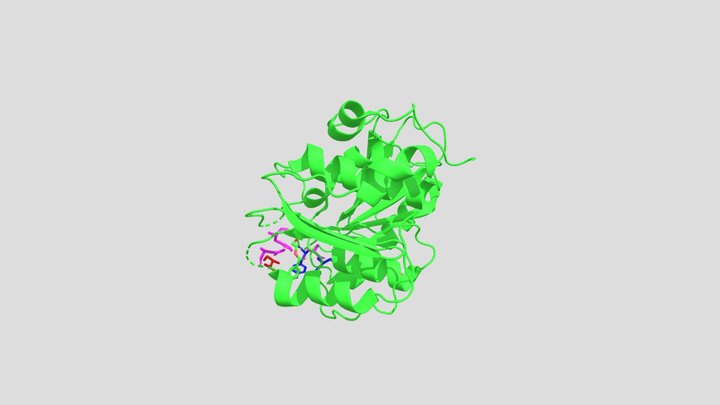 PETase enzyme 3D Model