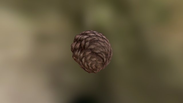 Photoscanned Pinecone 3D Model
