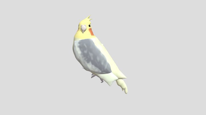 Fart bird 3D Model