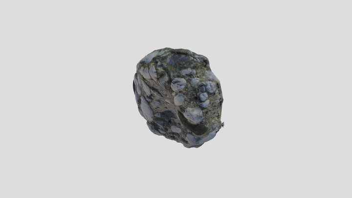 unknown sedimentary rock