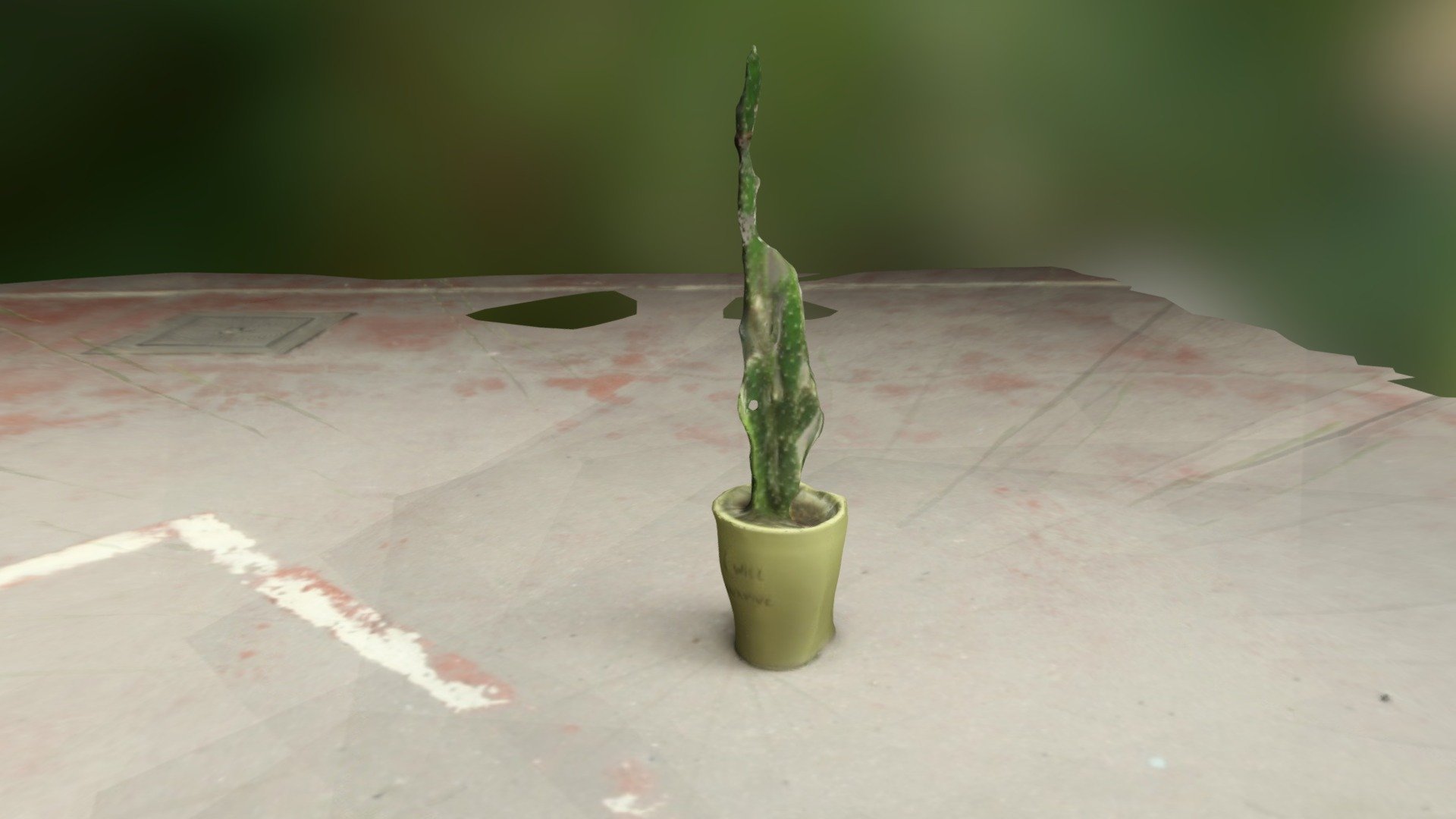 Autodesk 123D Catch #2 - Cactus