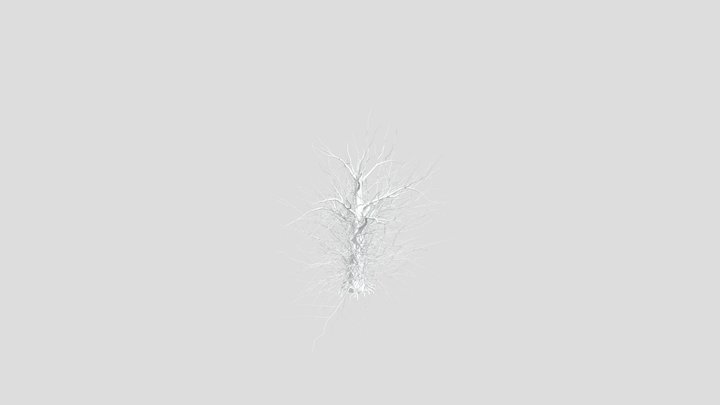 TreeTedt2 3D Model