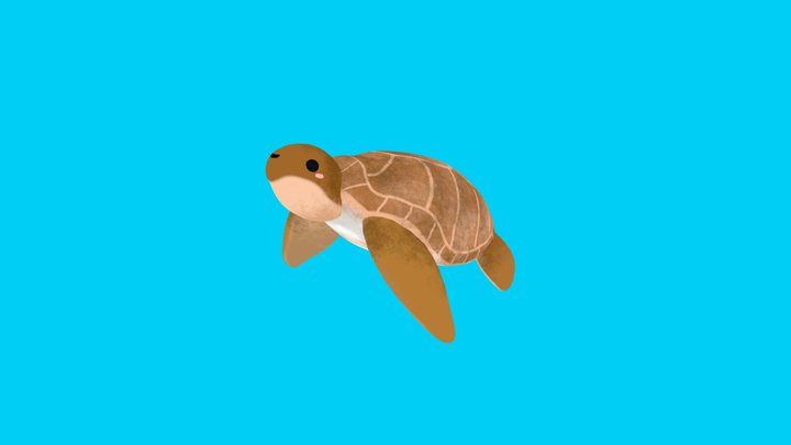 Sea turtle 3D Model