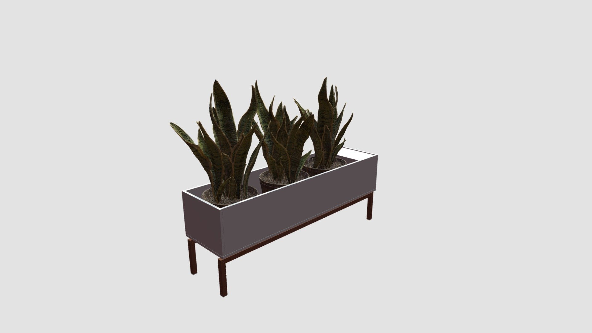 plant - 3D model by Evermotion (@evermotion) [44cfbe2]