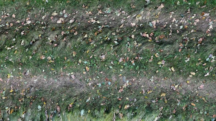 Furrow in the meadow