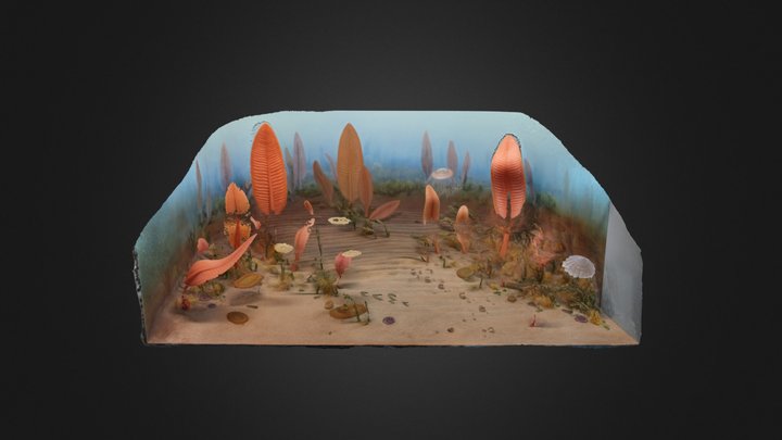 Ediacaran Biota Diorama – Free 3D Model STL