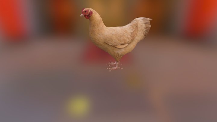 Chicken Brown 3D Model