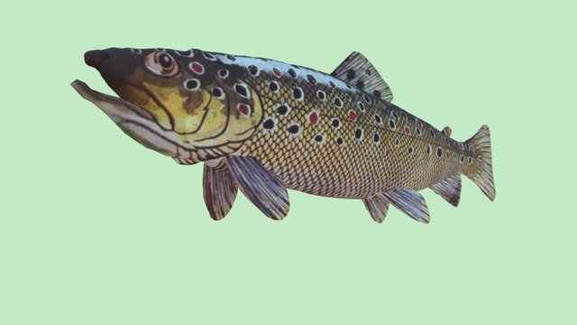 fario3 3D Model