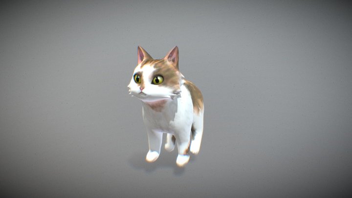 Cat - animated character 3D Model