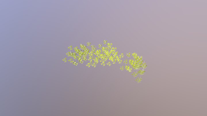 Leaves 3D Model