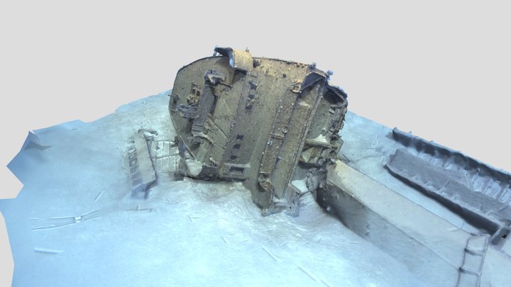 El Aguila Shipwreck - Roatan, Honduras 3D Model