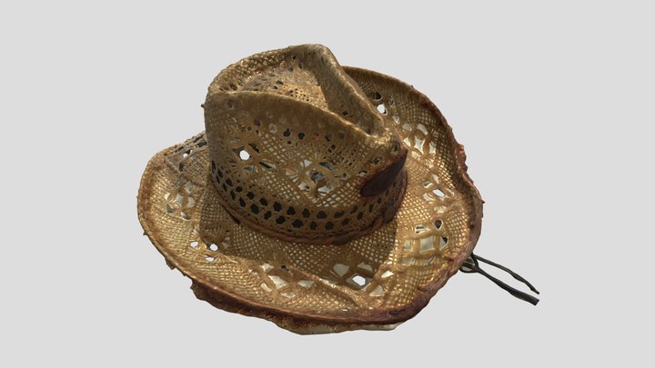 Unique Hat 3D Model