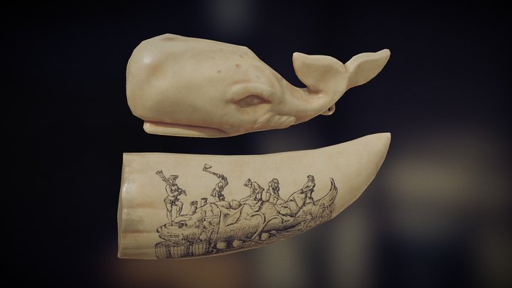 Moby 3D models - Sketchfab
