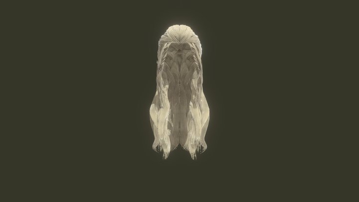 Hair Barbarianstylzed free 3D Model