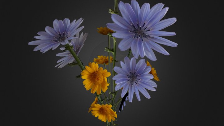 Prop_Flower 3D Model