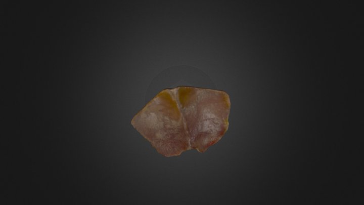 Woodwardian collection E-27-49: Pufferfish tooth 3D Model