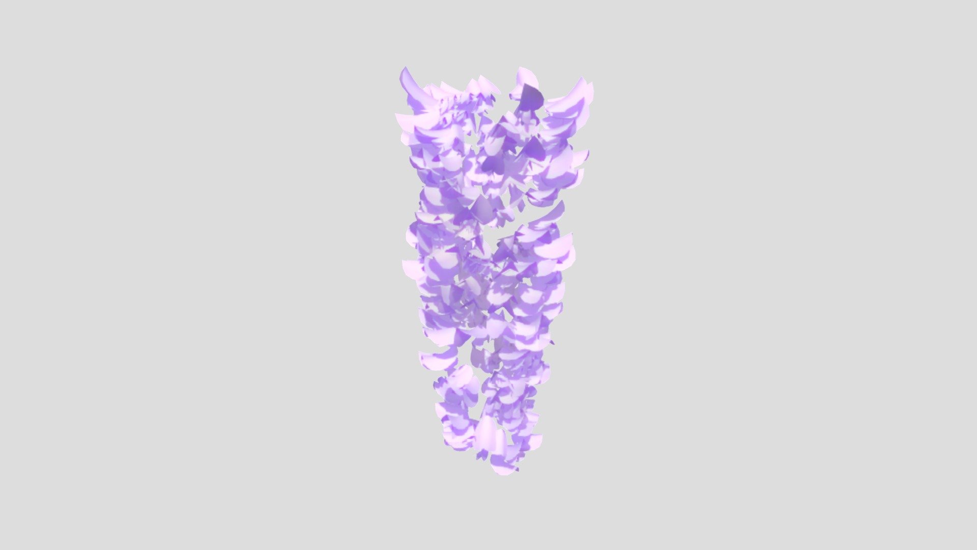 Wisteria Flowers