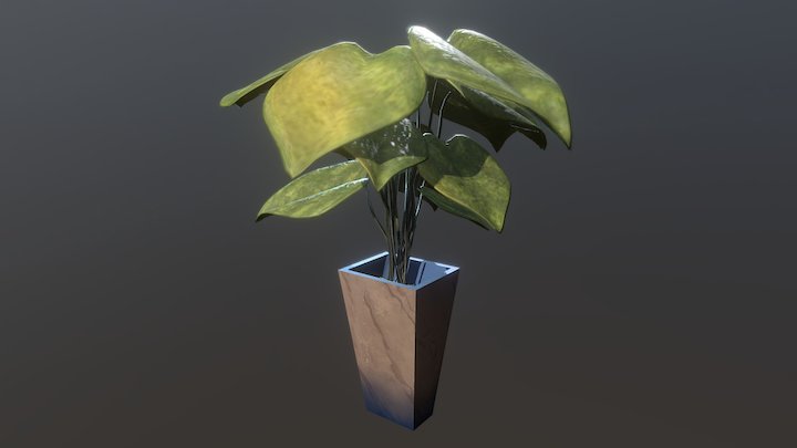 Plant - ex CLUDED 3D Model