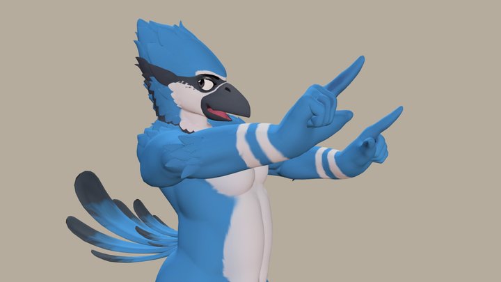 Buff Bluejay Guy 3D Model